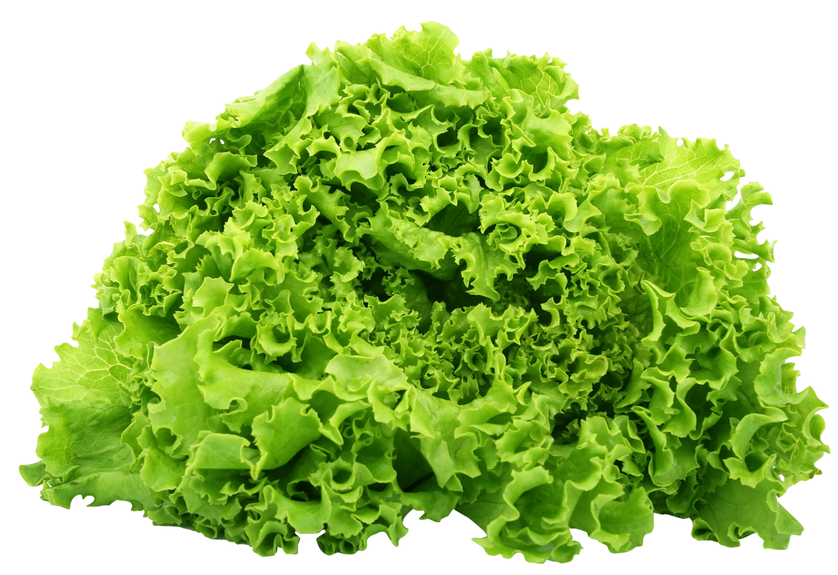 Lettuce Left